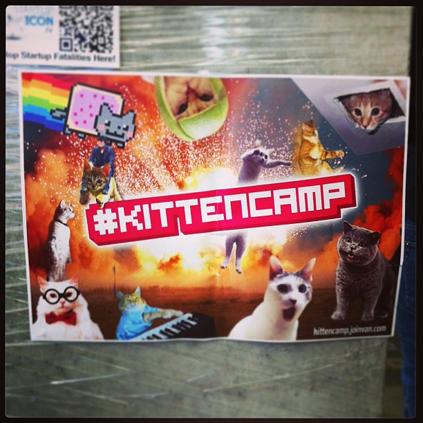 { #SXSW2013} Cat Collection ^ x ^♬